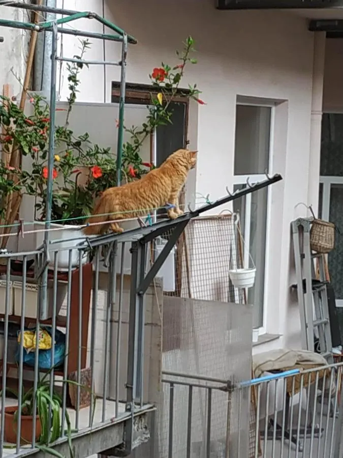 Львовский Дворик Appartamento Leopoli